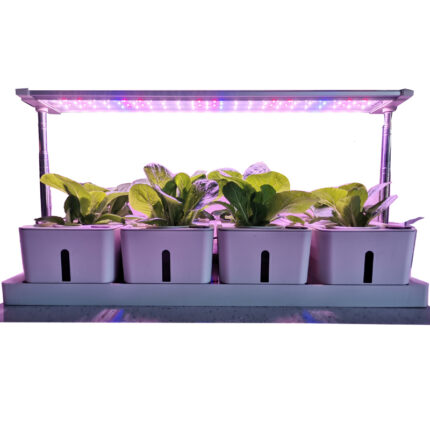 AS2 Hydroponic growing pot