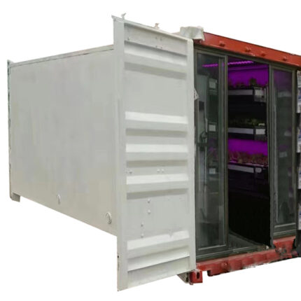 WT-CC Customized Growing container